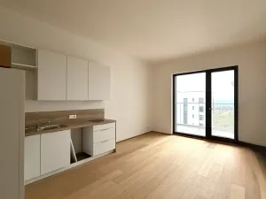 Pronájem bytu 1+kk, Praha - Hrdlořezy, V třešňovce, 40 m2