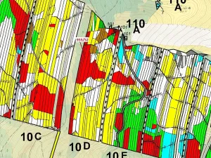 Dražba lesa, Nová Hradečná, 12014 m2