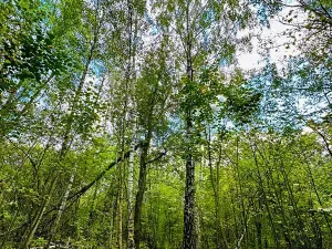 Prodej komerčního pozemku, Luštěnice, 9368 m2