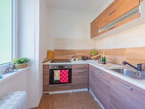 Pronájem bytu 2+1, Most, Josefa Skupy, 49 m2