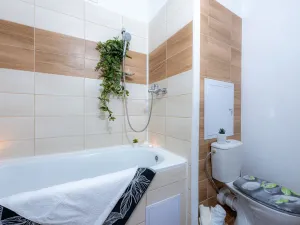 Pronájem bytu 2+1, Most, Josefa Skupy, 49 m2