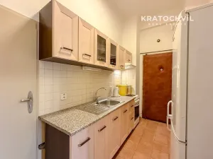 Pronájem bytu 1+kk, Praha - Nusle, Na Veselí, 42 m2