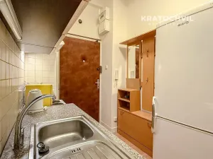 Pronájem bytu 1+kk, Praha - Nusle, Na Veselí, 42 m2