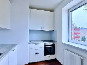 Prodej bytu 1+kk, Brno, Žabí, 27 m2