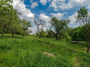 Prodej rodinného domu, Veliny, 157 m2