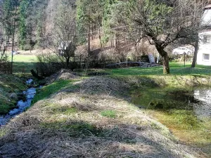 Prodej chalupy, Krásná Lípa, 180 m2