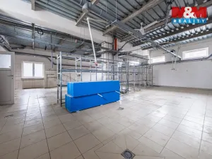 Prodej obchodního prostoru, Příbram - Příbram VI-Březové Hory, K Podlesí, 326 m2