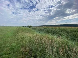 Prodej pole, Lomnice nad Lužnicí, 16506 m2