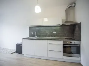 Pronájem bytu 1+kk, Praha - Žižkov, Olšanská, 35 m2