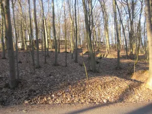 Pronájem bytu 2+kk, Brno, Rakovecká, 44 m2