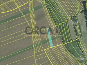 Prodej pole, Zdounky, 2140 m2