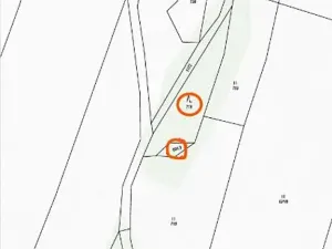 Prodej lesa, Nová Bystřice, 1069 m2