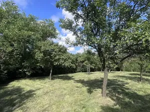 Prodej rodinného domu, Kožušice, 230 m2