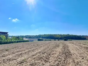 Prodej pozemku pro bydlení, Hrušovany u Brna, Pod Střediskem, 759 m2