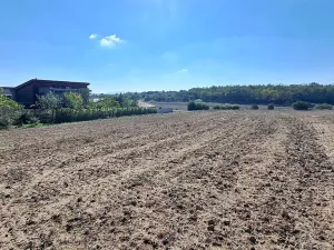 Prodej pozemku pro bydlení, Hrušovany u Brna, Pod Střediskem, 767 m2