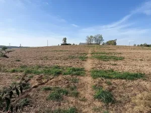 Prodej pozemku pro bydlení, Hrušovany u Brna, Pod Střediskem, 608 m2