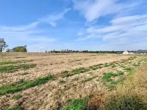 Prodej pozemku pro bydlení, Hrušovany u Brna, Pod Střediskem, 875 m2