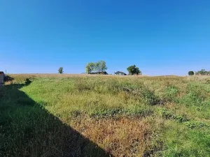 Prodej pozemku pro bydlení, Hrušovany u Brna, Pod Střediskem, 1132 m2