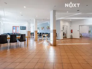 Prodej ubytování, Slavonice, Svatopluka Čecha, 1023 m2