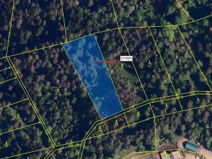 Dražba lesa, Návsí, 3528 m2