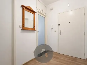 Prodej bytu 2+1, Brno, Tábor, 58 m2