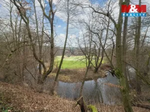 Prodej chaty, Dýšina - Nová Huť, 28 m2