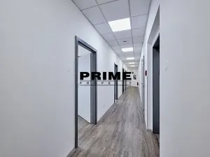 Pronájem kanceláře, Praha - Nové Město, Soukenická, 260 m2