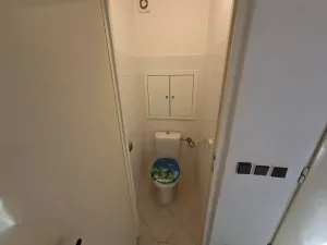 Pronájem bytu 3+1, Brno, Loosova, 74 m2