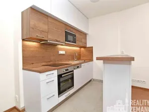 Pronájem bytu 1+kk, Praha - Vinohrady, Řipská, 30 m2