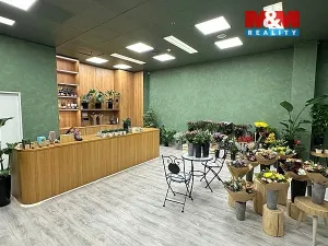 Pronájem obchodního prostoru, Brno - Brno-město, náměstí Svobody, 64 m2