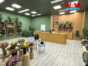 Pronájem obchodního prostoru, Brno - Brno-město, náměstí Svobody, 64 m2