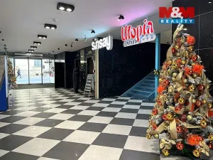 Pronájem obchodního prostoru, Brno, Kobližná, 57 m2