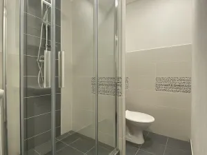 Pronájem bytu 3+1, Most, M. G. Dobnera, 63 m2