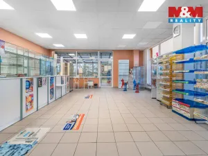 Pronájem komerční nemovitosti, Ústí nad Labem - Severní Terasa, Šrámkova, 181 m2