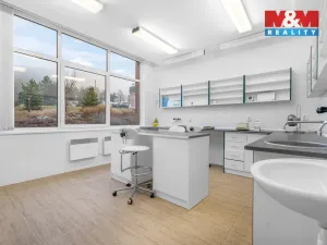 Pronájem komerční nemovitosti, Ústí nad Labem - Severní Terasa, Šrámkova, 181 m2
