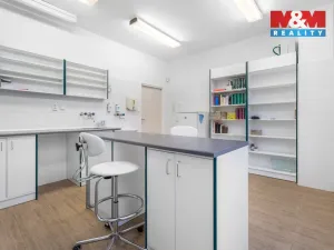 Pronájem komerční nemovitosti, Ústí nad Labem - Severní Terasa, Šrámkova, 181 m2