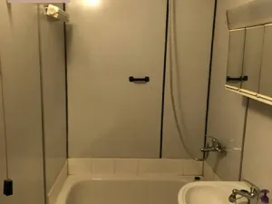 Prodej bytu 1+kk, Ostrava, Gen. Píky, 29 m2