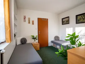 Prodej ubytování, Strážné, 450 m2