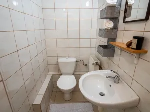 Prodej rodinného domu, Strážné, 450 m2