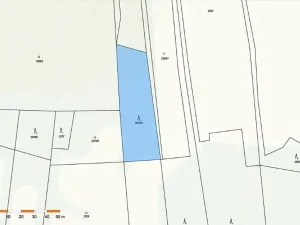 Prodej lesa, Vyskytná, 2174 m2