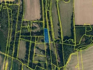 Prodej lesa, Vyskytná, 2174 m2