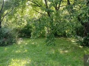 Prodej zahrady, Uherský Brod, 1078 m2