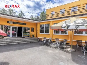 Prodej rodinného domu, Doksy, Pod Borným, 1700 m2