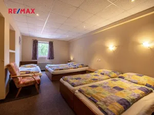 Prodej rodinného domu, Doksy, Pod Borným, 1700 m2