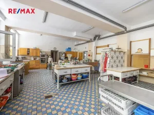 Prodej rodinného domu, Doksy, Pod Borným, 1700 m2