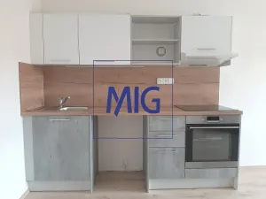 Pronájem bytu 2+kk, Syrovice, 64 m2