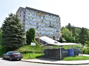 Pronájem bytu 1+kk, Trutnov, Maxima Gorkého, 30 m2