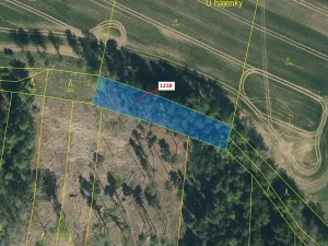 Dražba lesa, Vilice, 1352 m2