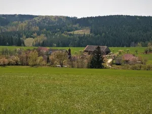 Prodej zemědělské usedlosti, Kuřimská Nová Ves, 240 m2