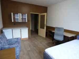 Pronájem bytu 1+kk, Brno, Heršpická, 23 m2